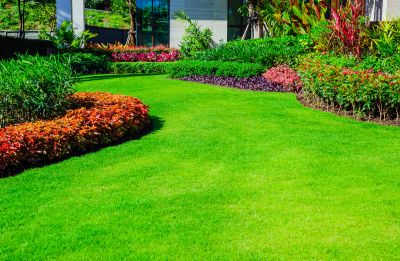 Quality Landscape Design