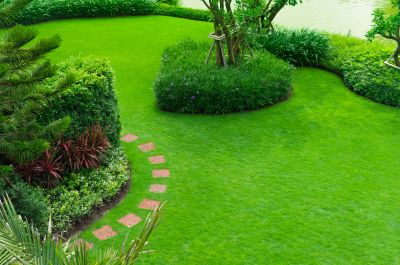 Reliable Garden Maintenance