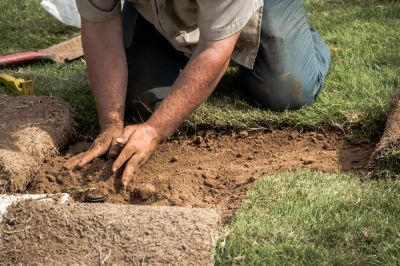 Landscape Repair - Landscape Repair Phoenix, Arizona