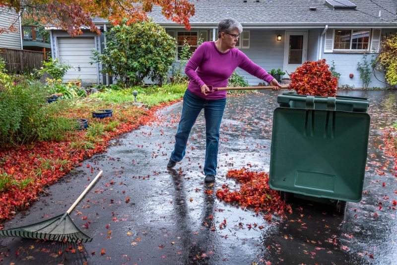 Clean Yard with Removed Leaves