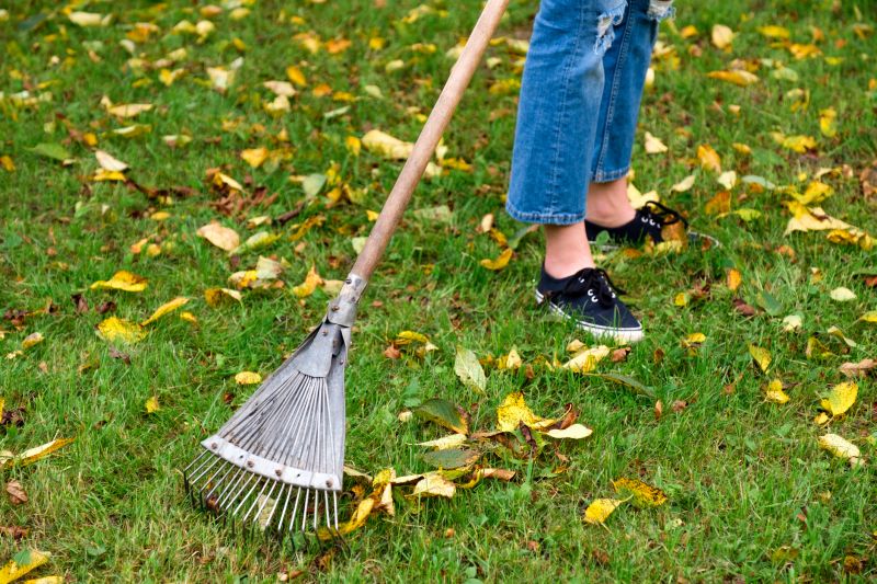 Leaf Raking