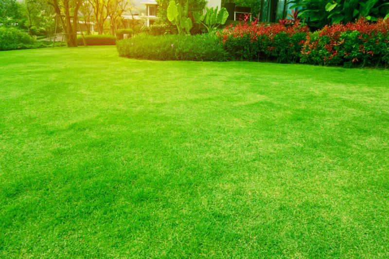 Lawn and Turf Areas
